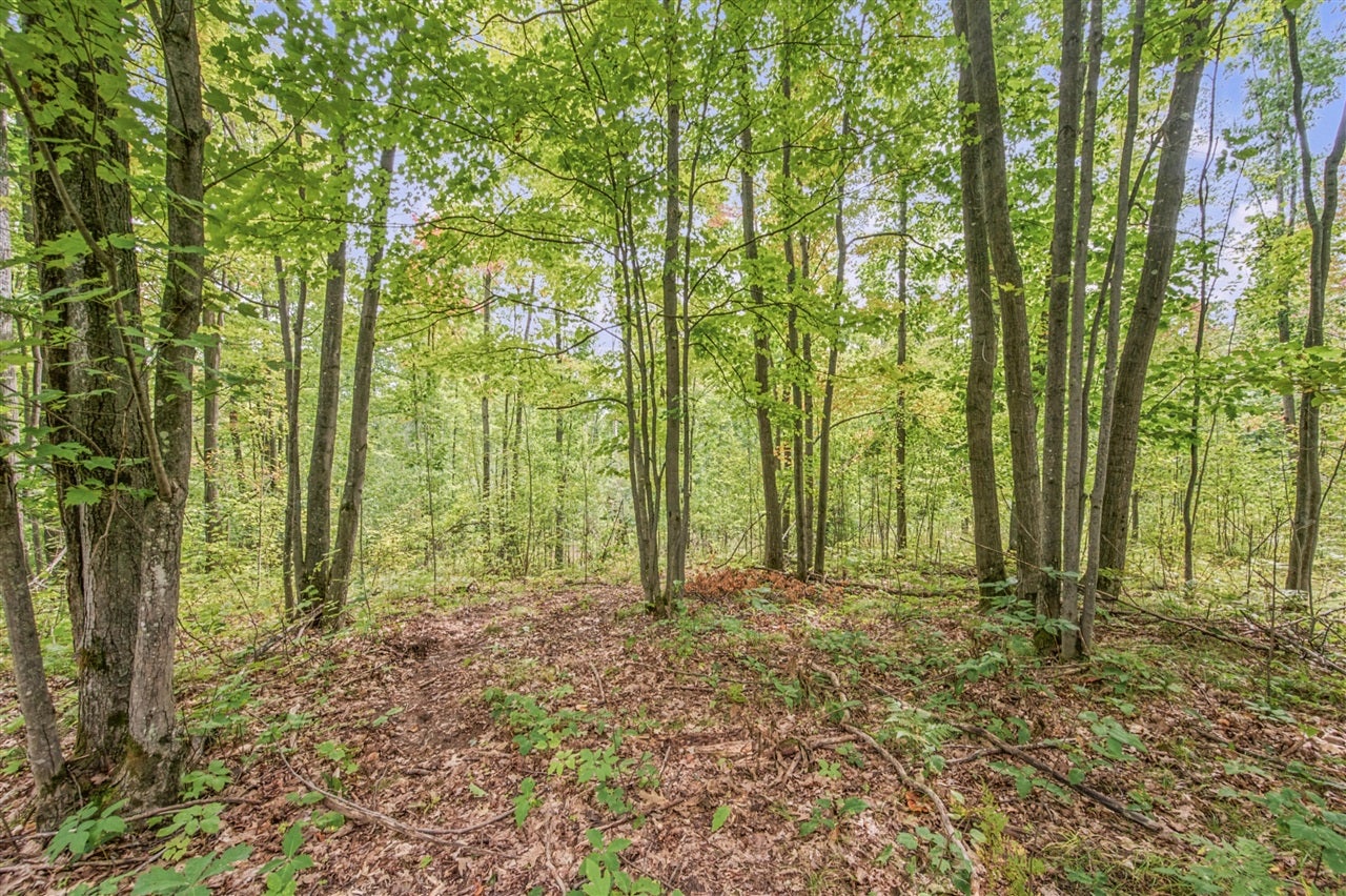 5 8 Mile Road Remus, MI 49340 - Photo 11 of 17 Gallery Image 11