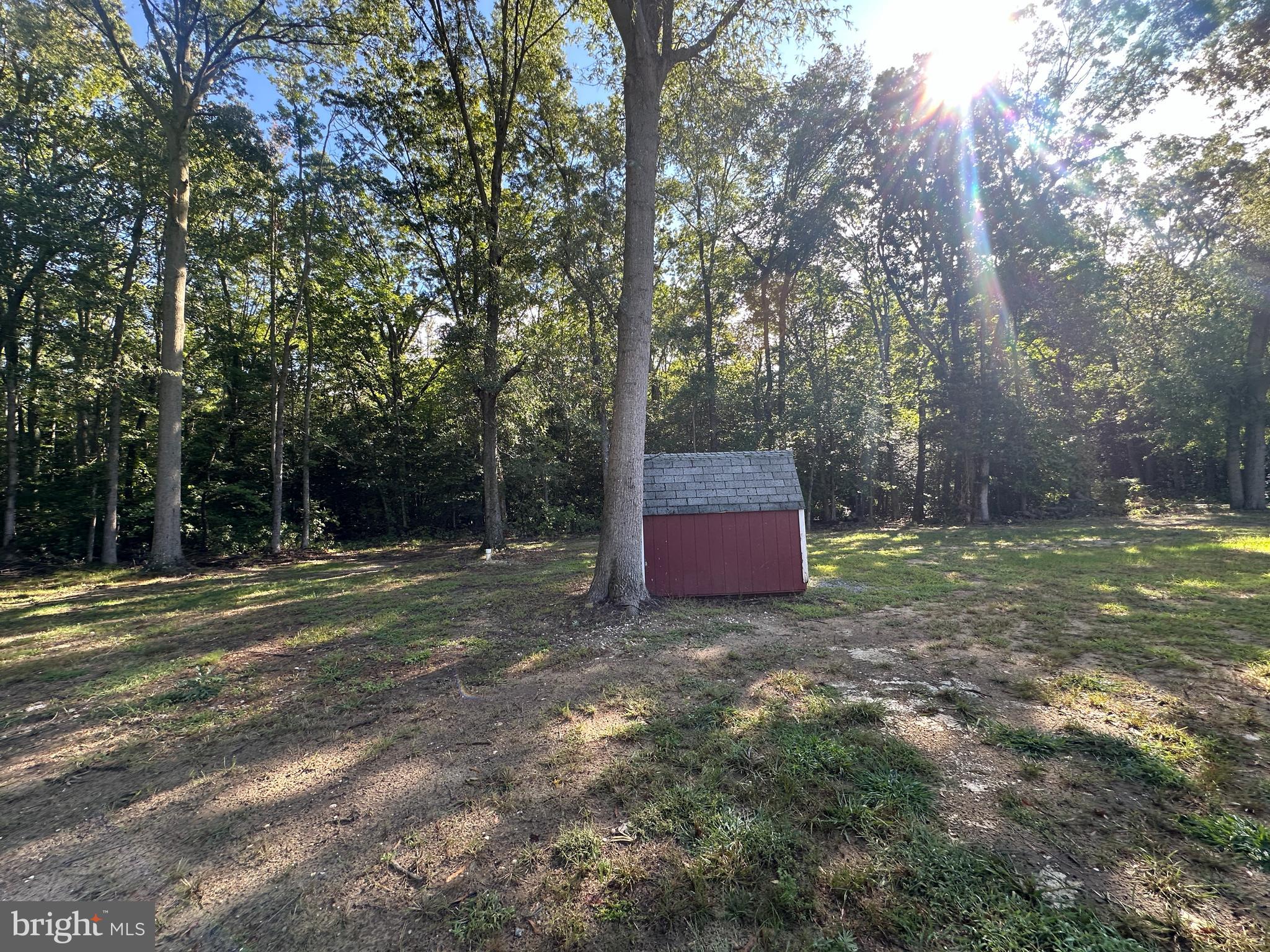 211 Maple Street Port Norris, NJ 08349 - Photo 20 of 28 a view of a trees with yard