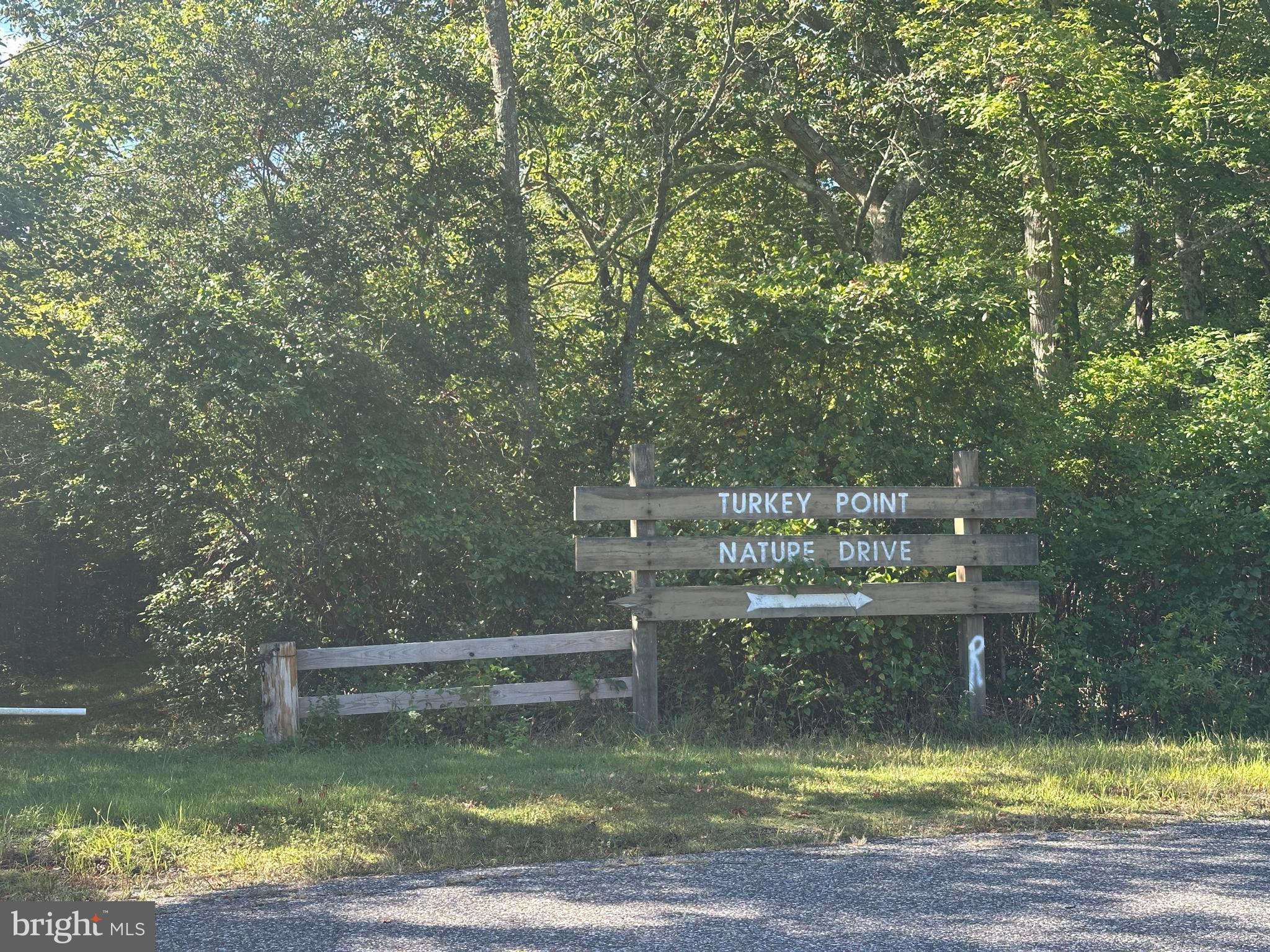 211 Maple Street Port Norris, NJ 08349 - Photo 25 of 28 a view of swimming pool with a yard