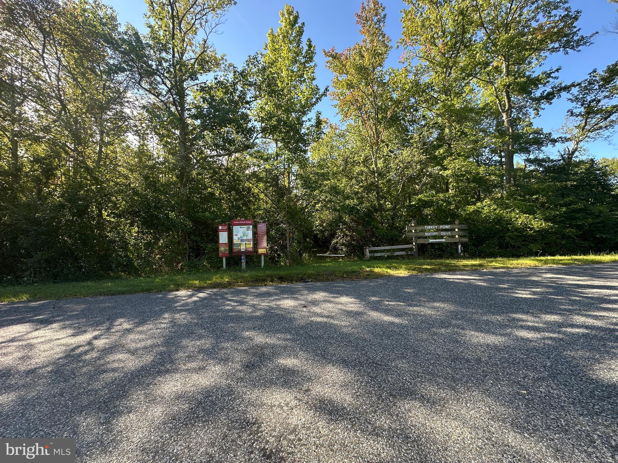 211 Maple Street Port Norris, NJ 08349 - Photo 26 of 28 a view of a yard with of trees