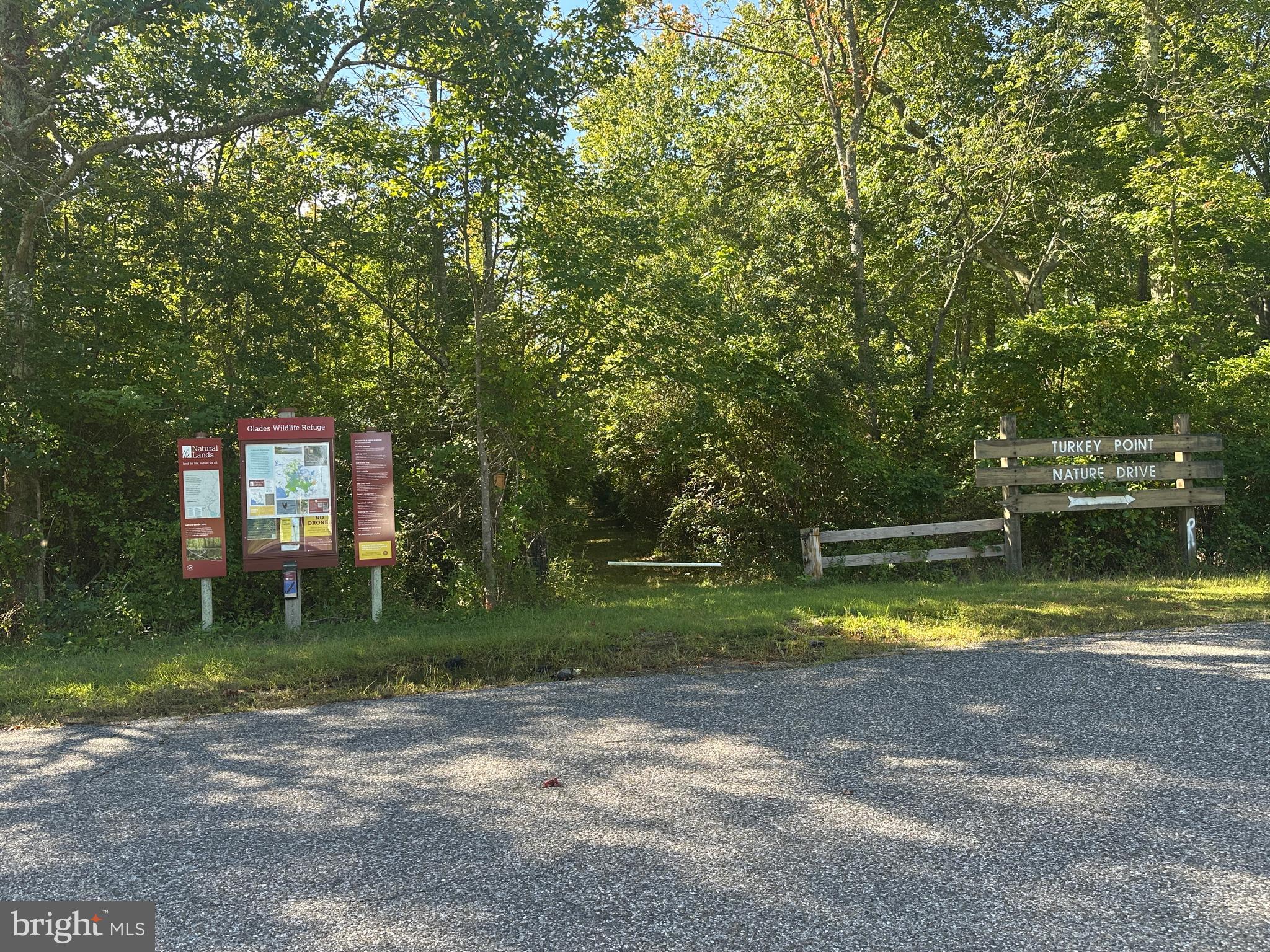 211 Maple Street Port Norris, NJ 08349 - Photo 27 of 28 a view of swimming pool with a yard