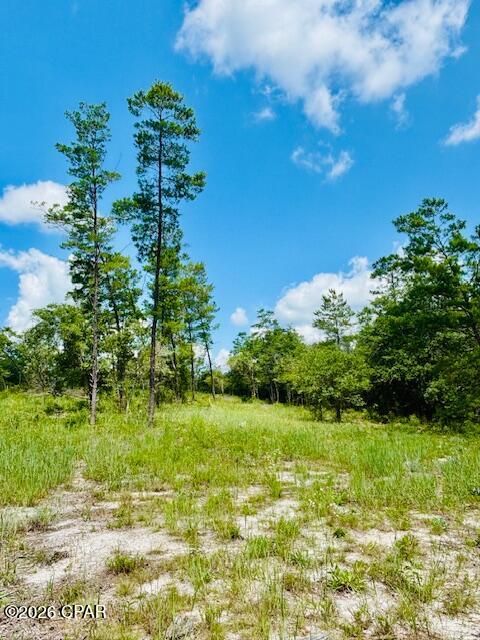 0 Lake Ridge Drive Chipley, FL 32428 - Photo 13 of 21