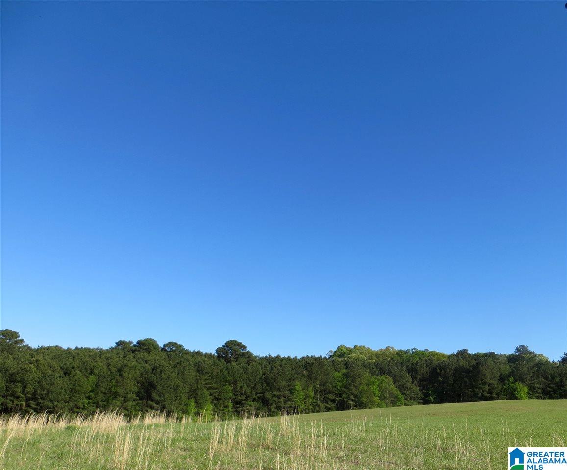 0 Eureka Road, Unit 7 Lincoln, AL 35096 - Photo 17 of 34