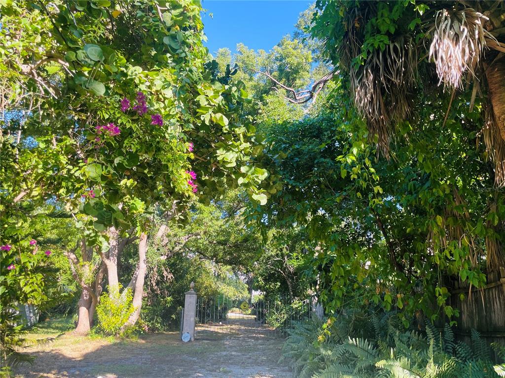 550 46th Street Sarasota, FL 34234 - Photo 42 of 48 a view of yard
