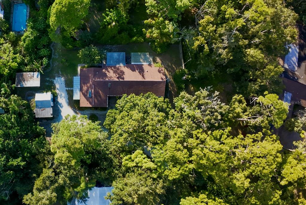 550 46th Street Sarasota, FL 34234 - Photo 43 of 48 a view of a garden with plants