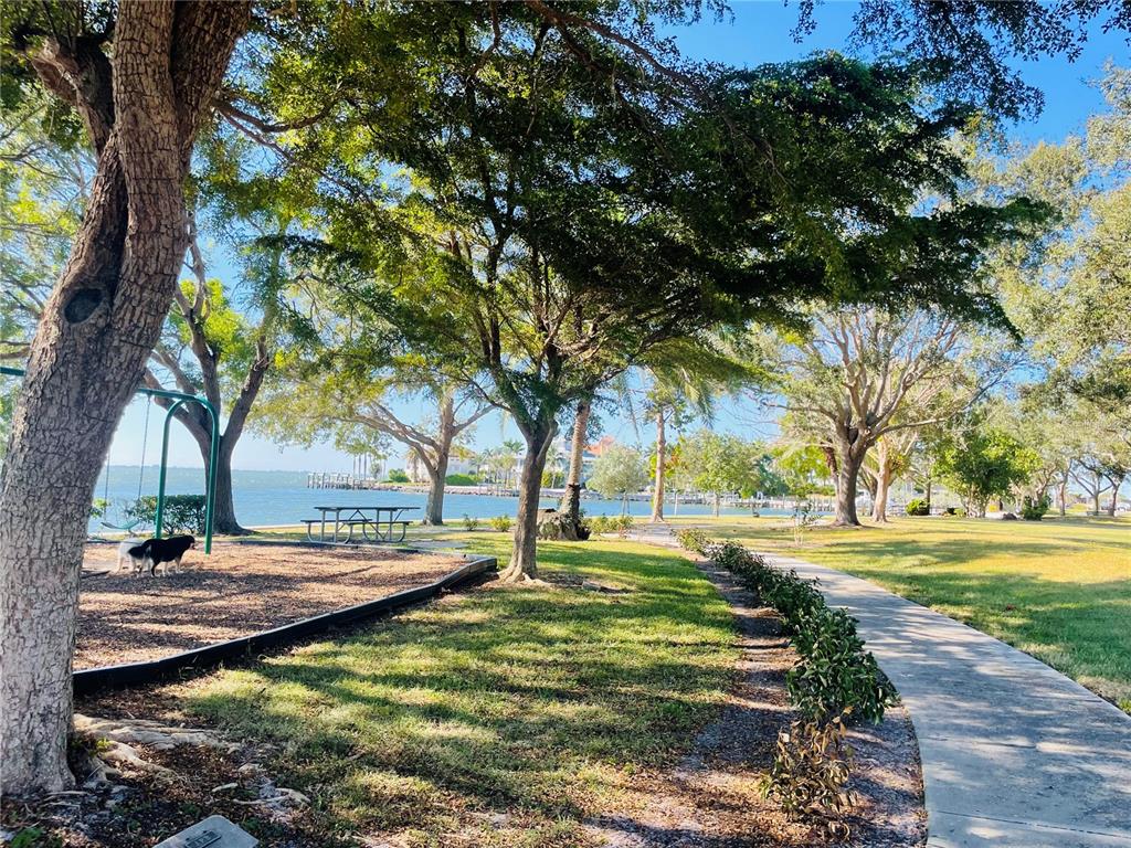 550 46th Street Sarasota, FL 34234 - Photo 48 of 48 a view of a yard with large trees