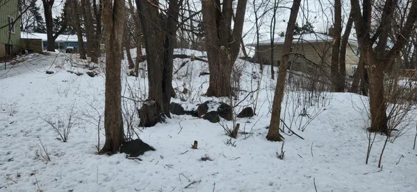 $414,900 | 1145 Polk Place, Columbia Heights, MN 55421