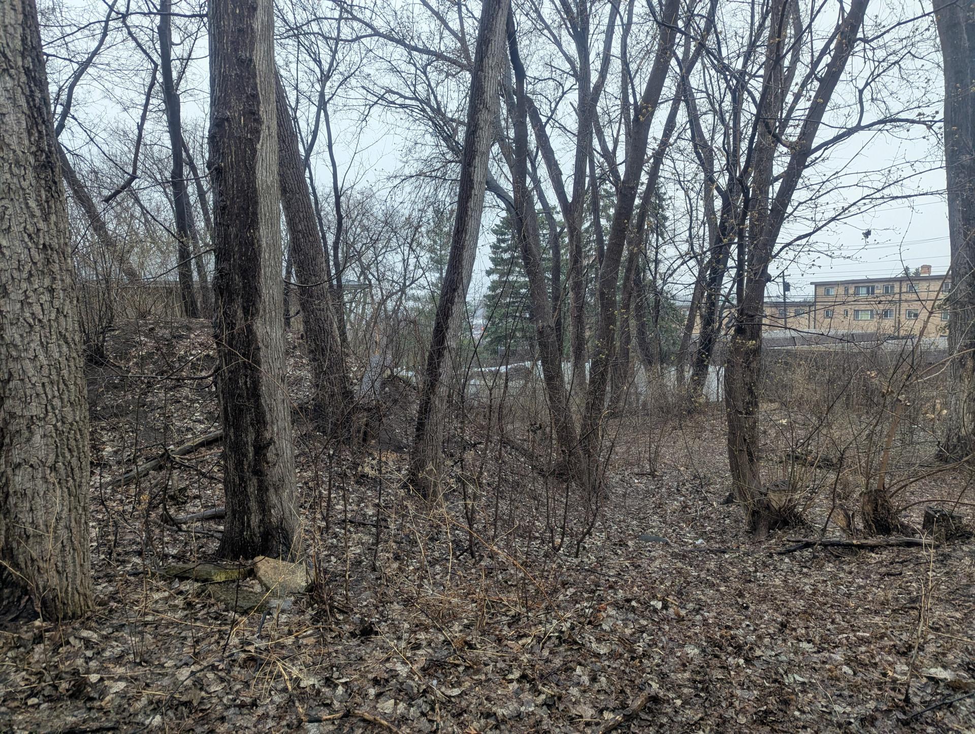 1145 Polk Place Columbia Heights, MN 55421 - Photo 33 of 35