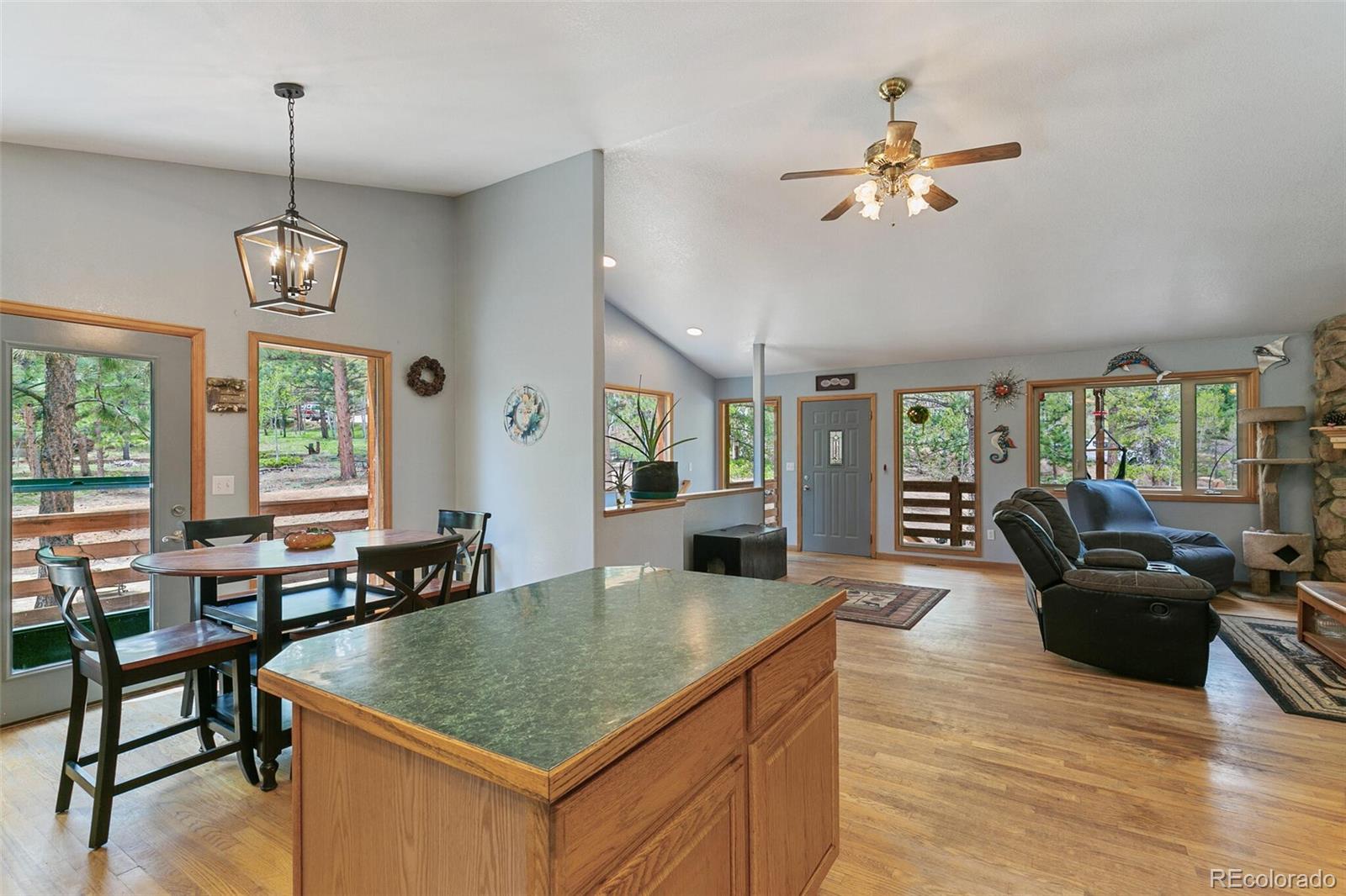 30 Bristlecone Circle Bailey, CO 80421 - Photo 14 of 35 a view of a livingroom with furniture window and wooden floor