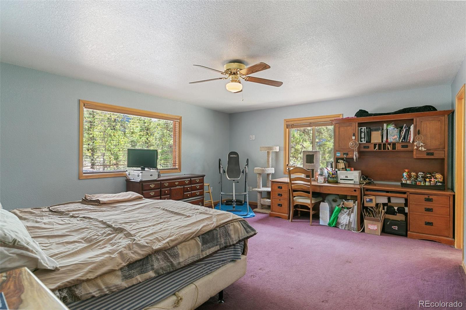 30 Bristlecone Circle Bailey, CO 80421 - Photo 17 of 35 a bedroom with a bed and a large window