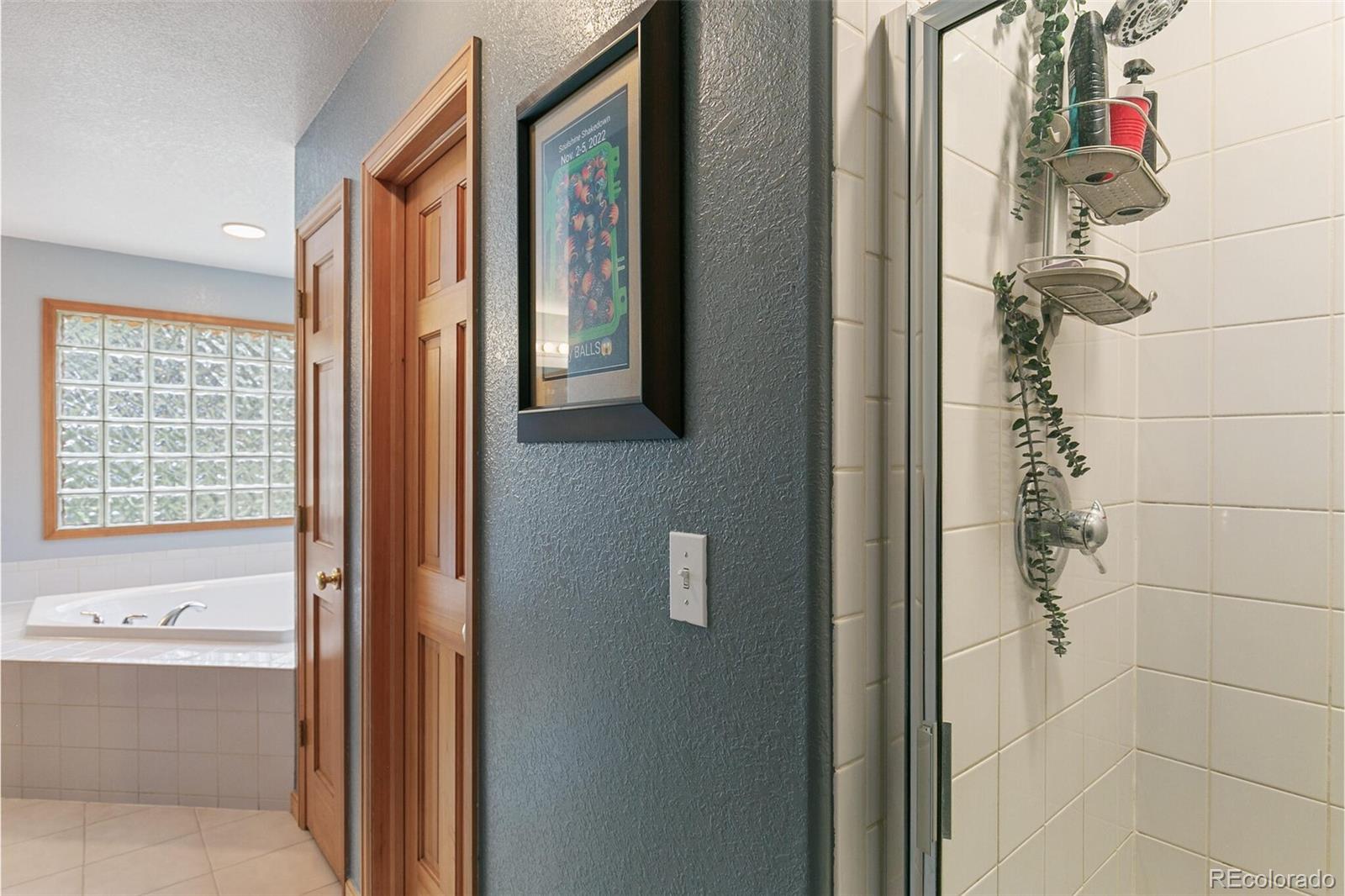 30 Bristlecone Circle Bailey, CO 80421 - Photo 21 of 35 a view of a bathroom