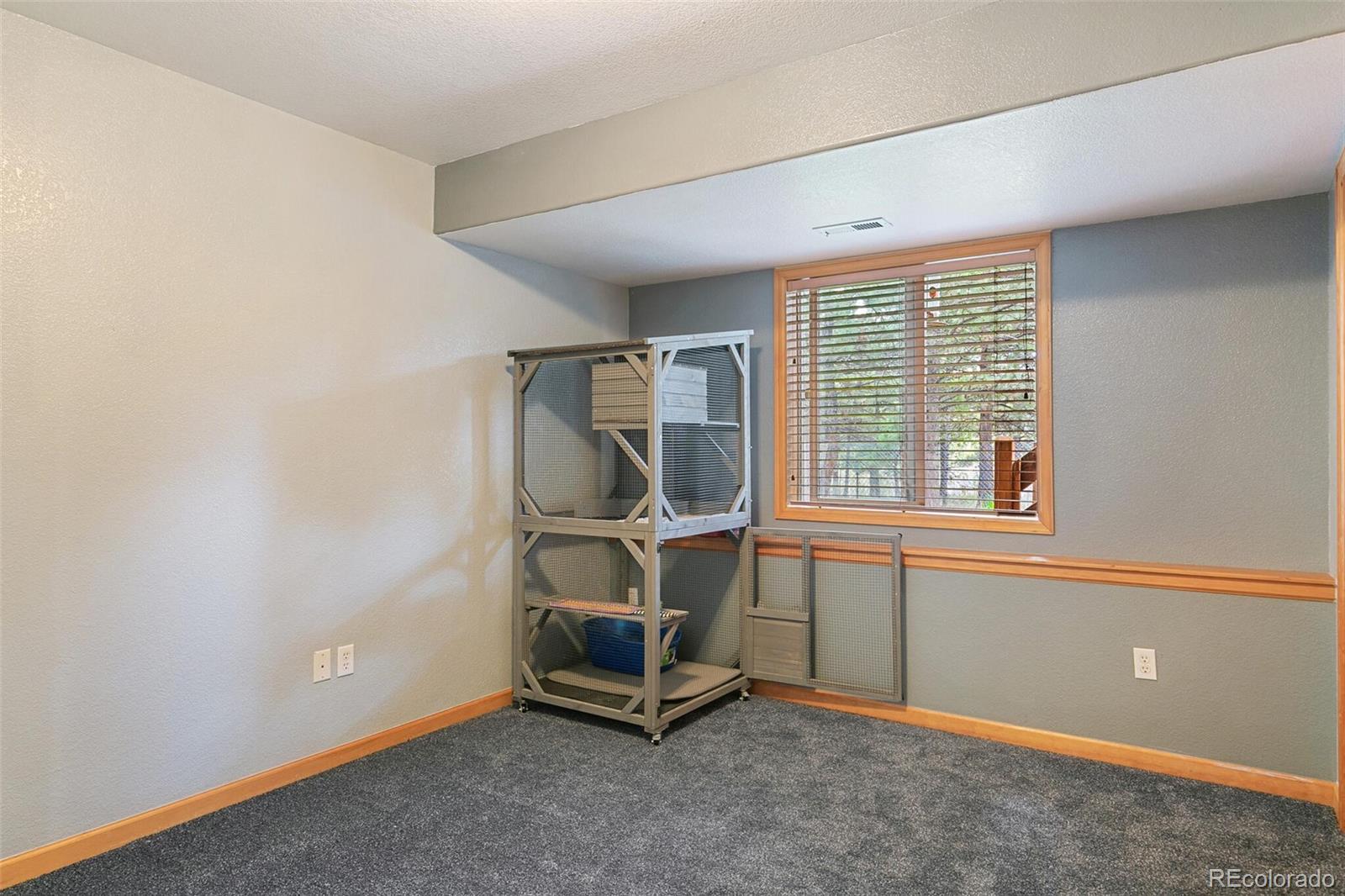 30 Bristlecone Circle Bailey, CO 80421 - Photo 25 of 35 a view of a room with gym equipment