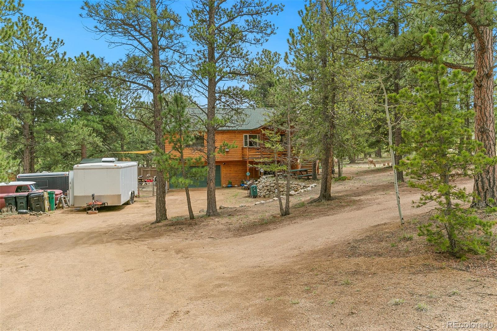 30 Bristlecone Circle Bailey, CO 80421 - Photo 33 of 35 a view of backyard with a table and chairs and a large tree