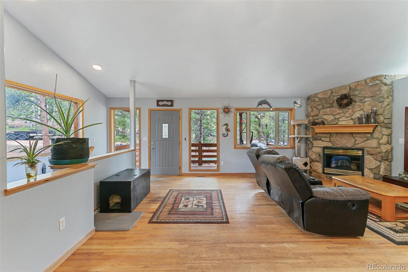30 Bristlecone Circle Bailey, CO 80421 - Photo 4 of 35 a living room with furniture a fireplace and a flat screen tv