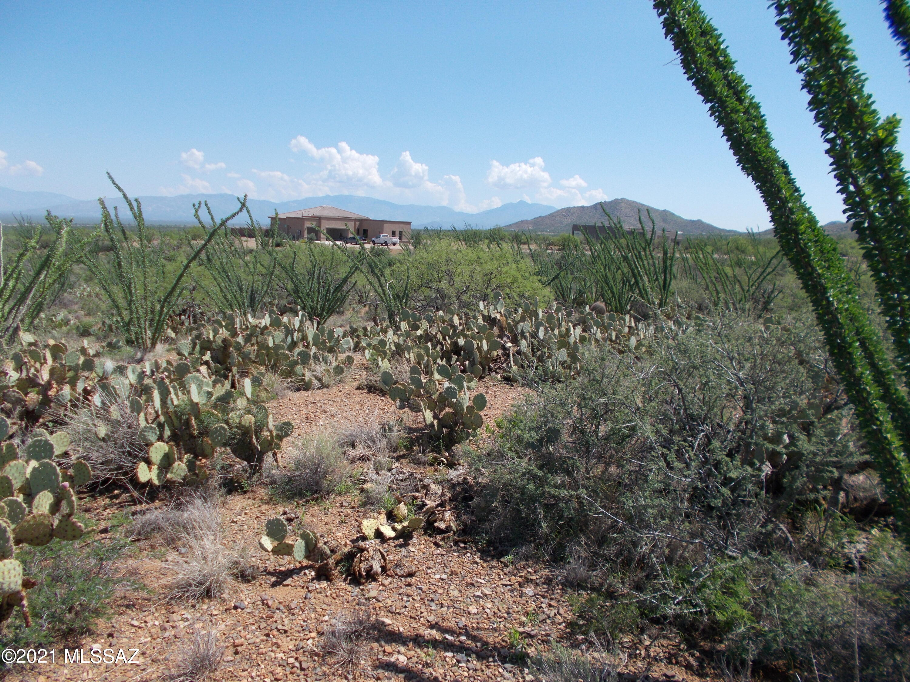 18687 South Ava Ridge Place, Unit 38 Vail, AZ 85641 - Photo 4 of 9