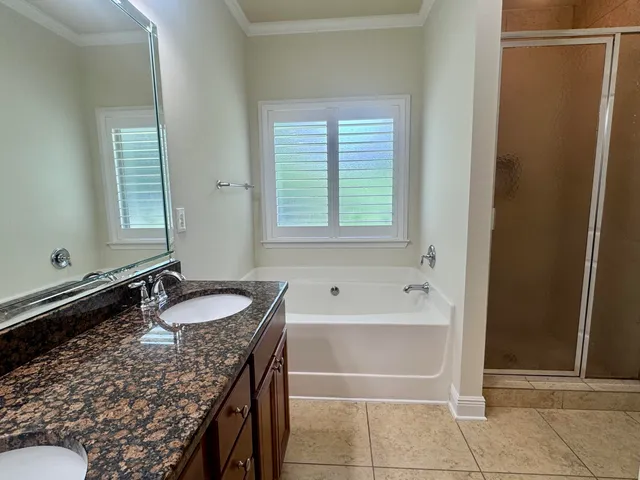 a bathroom with a granite countertop sink and a bathtub