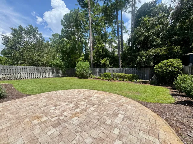 a view of a park with large trees