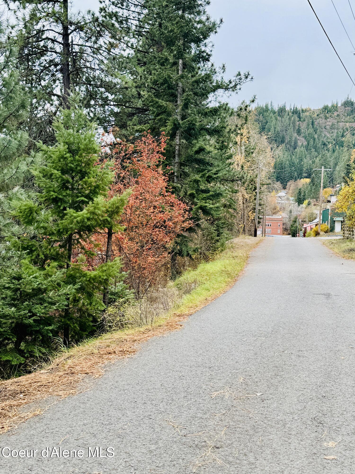 411 Pine Street Mullan, ID 83846 - Photo 25 of 33 Gorgeous Mountain Town