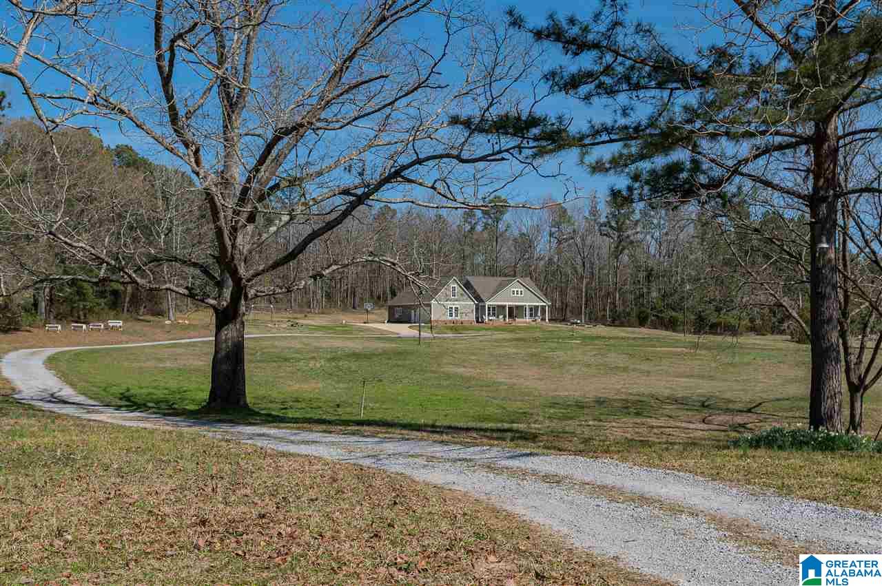 659 Blue Springs Road Wilsonville, AL 35186 - Photo 4 of 50