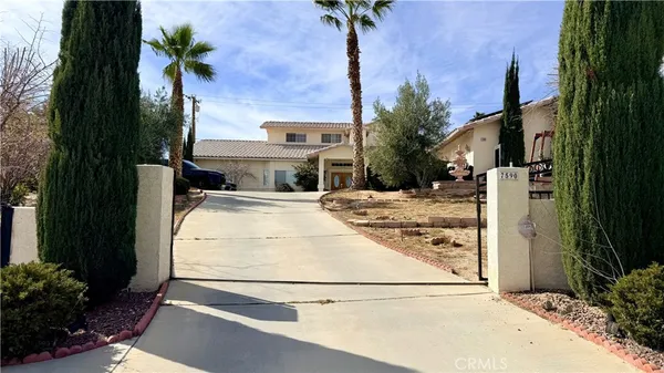 a view of backyard with a palm tree