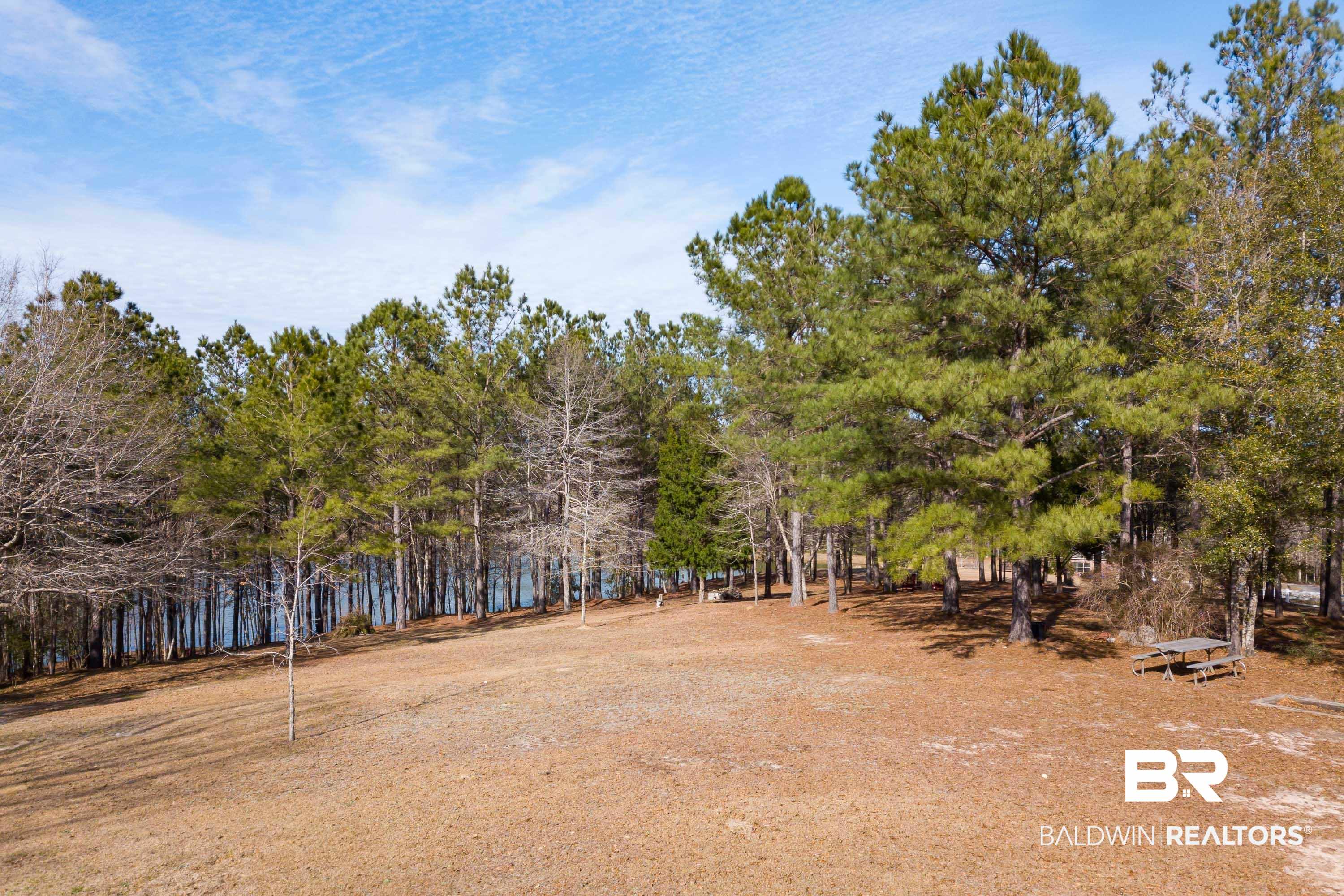 7875 Bromley Road Bay Minette, AL 36507 - Photo 38 of 39 Drone view of backyard to