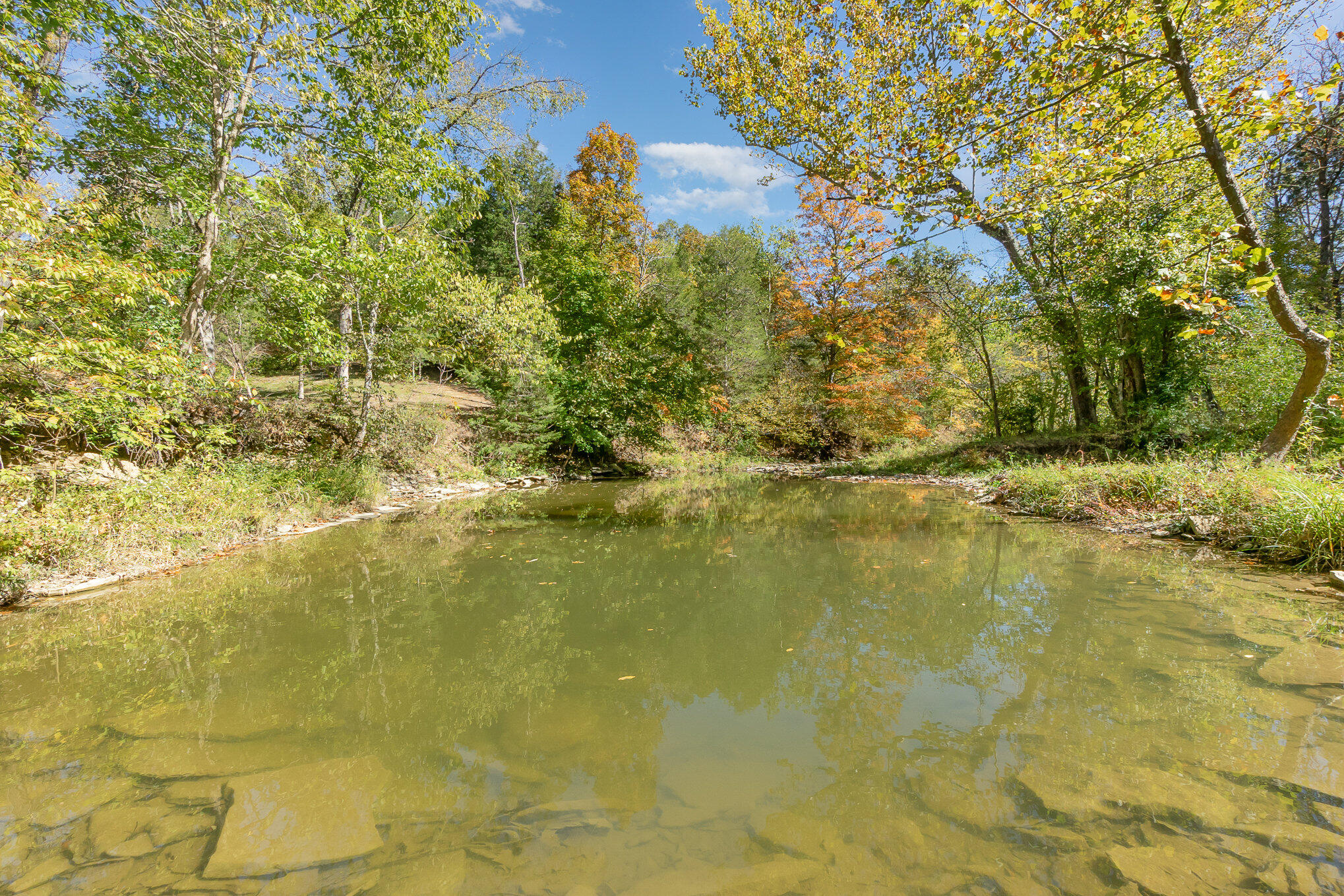 3910 Taft Highway Dry Ridge, KY 41035 - Photo 42 of 50