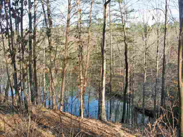 11 Jasmine Point, Unit JC11 Salem, SC 29676 - Photo 1 of 3 Gallery Image 1
