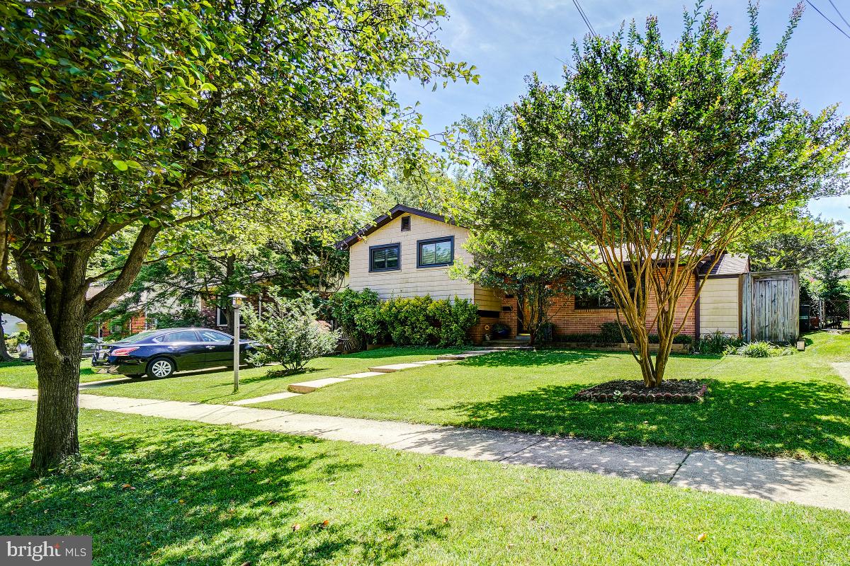 414 Eisner Street Silver Spring, MD 20901 - Photo 4 of 36