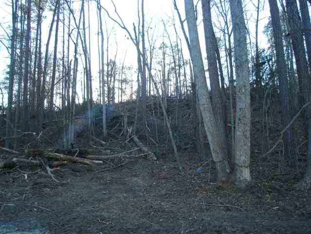 10 Relax Street Waterloo, SC 29384 - Photo 3 of 3