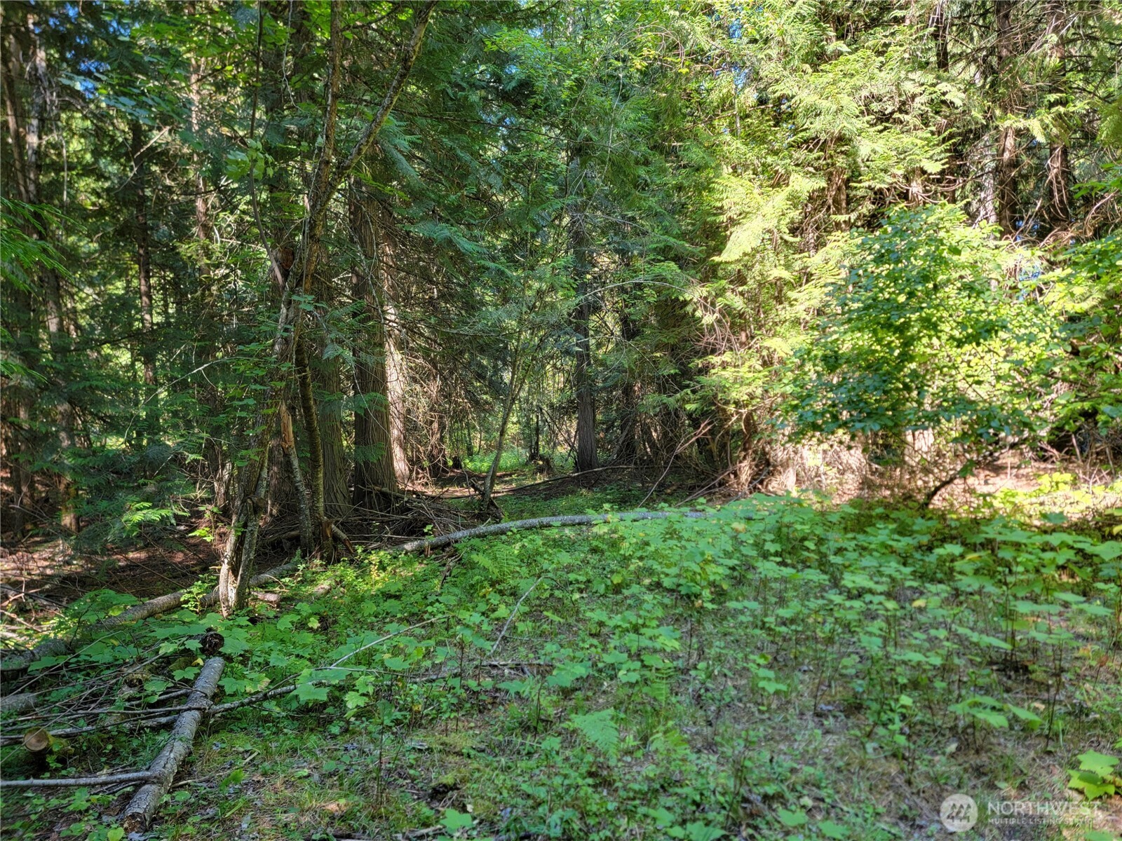 9999 Lone Ranch Creek Road Danville, WA 99121 - Photo 13 of 15 a view of backyard with green space