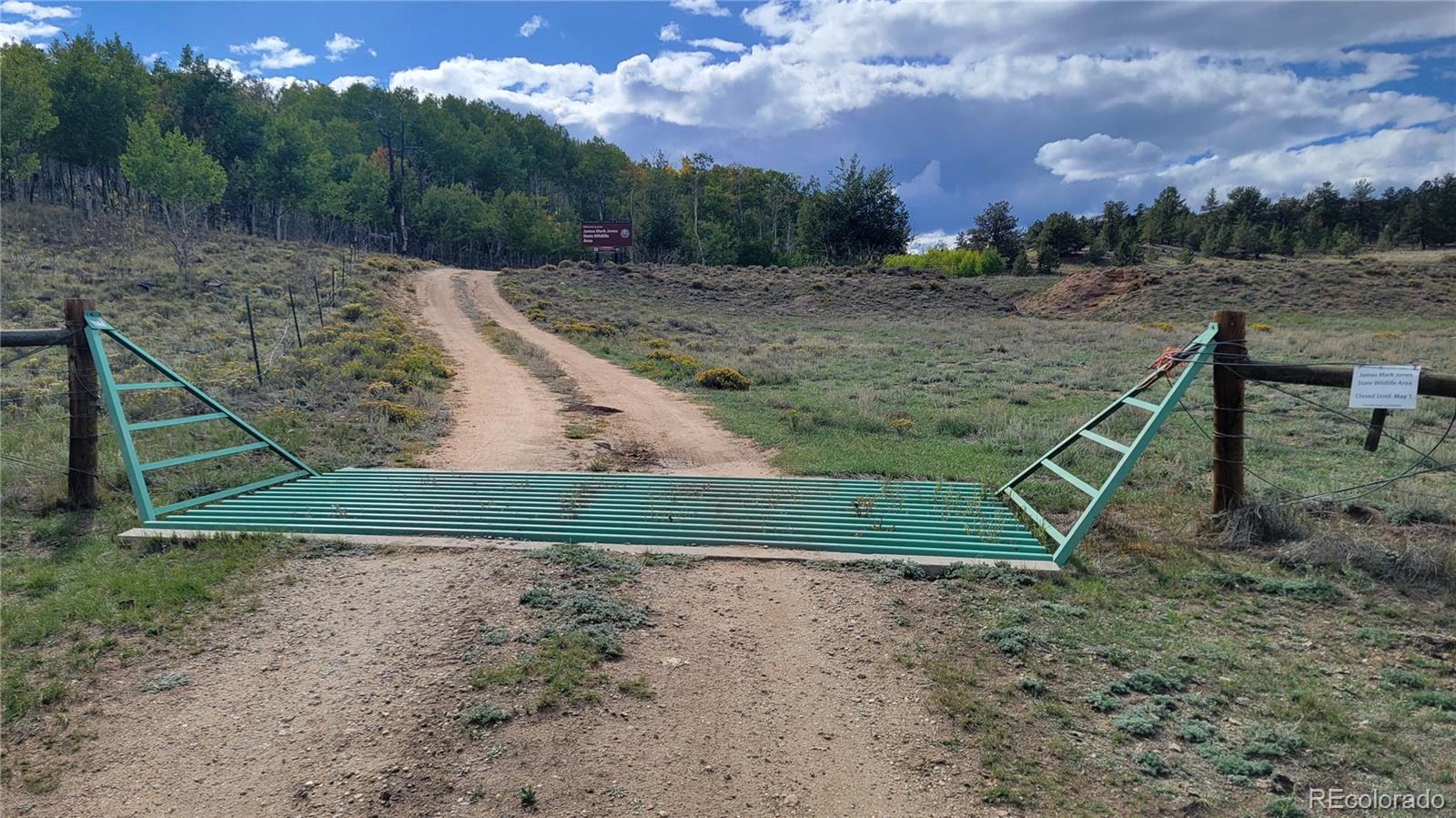 1194 Yellowstone Road Hartsel, CO 80449 - Photo 11 of 16