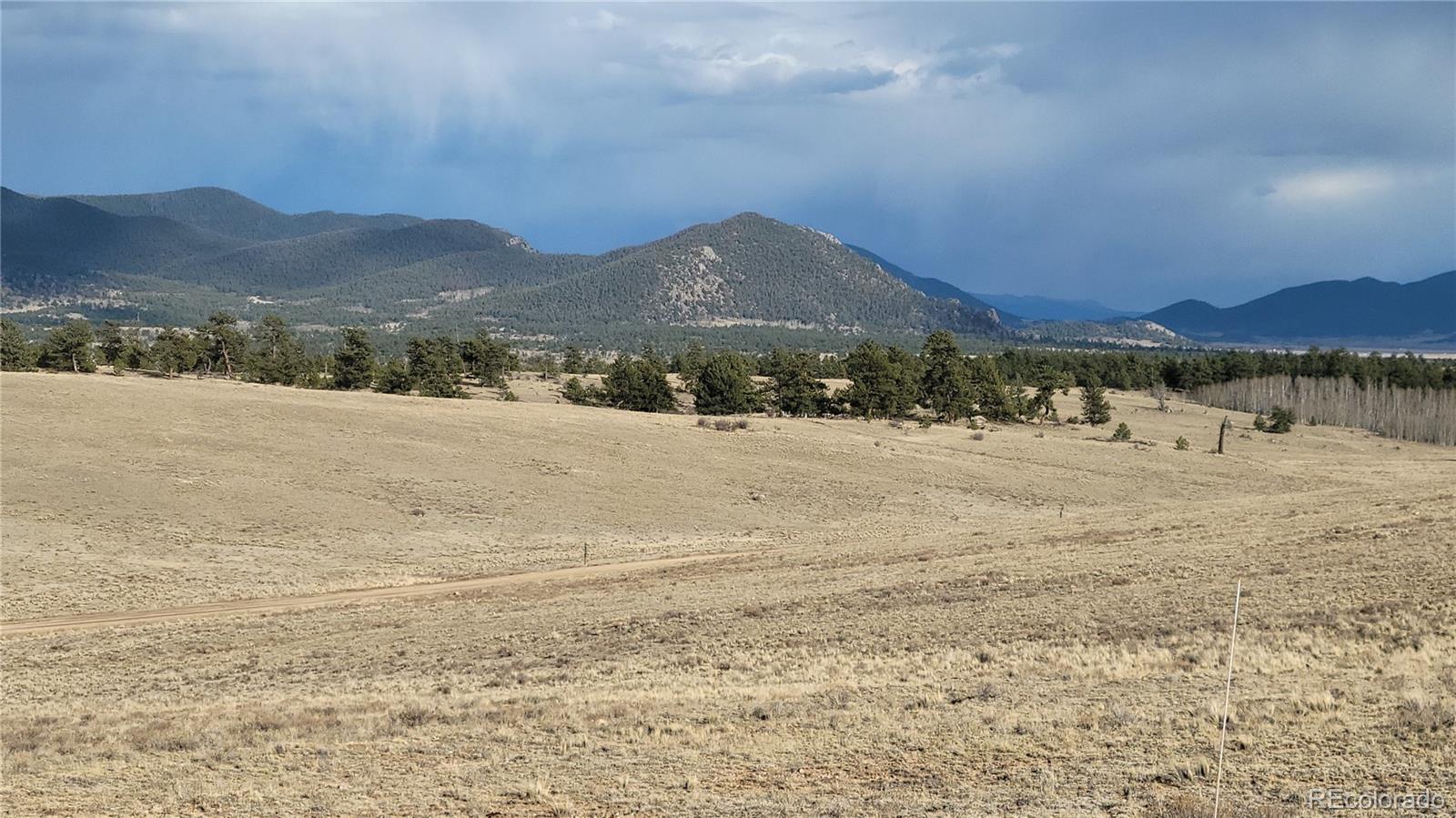 1194 Yellowstone Road Hartsel, CO 80449 - Photo 5 of 16