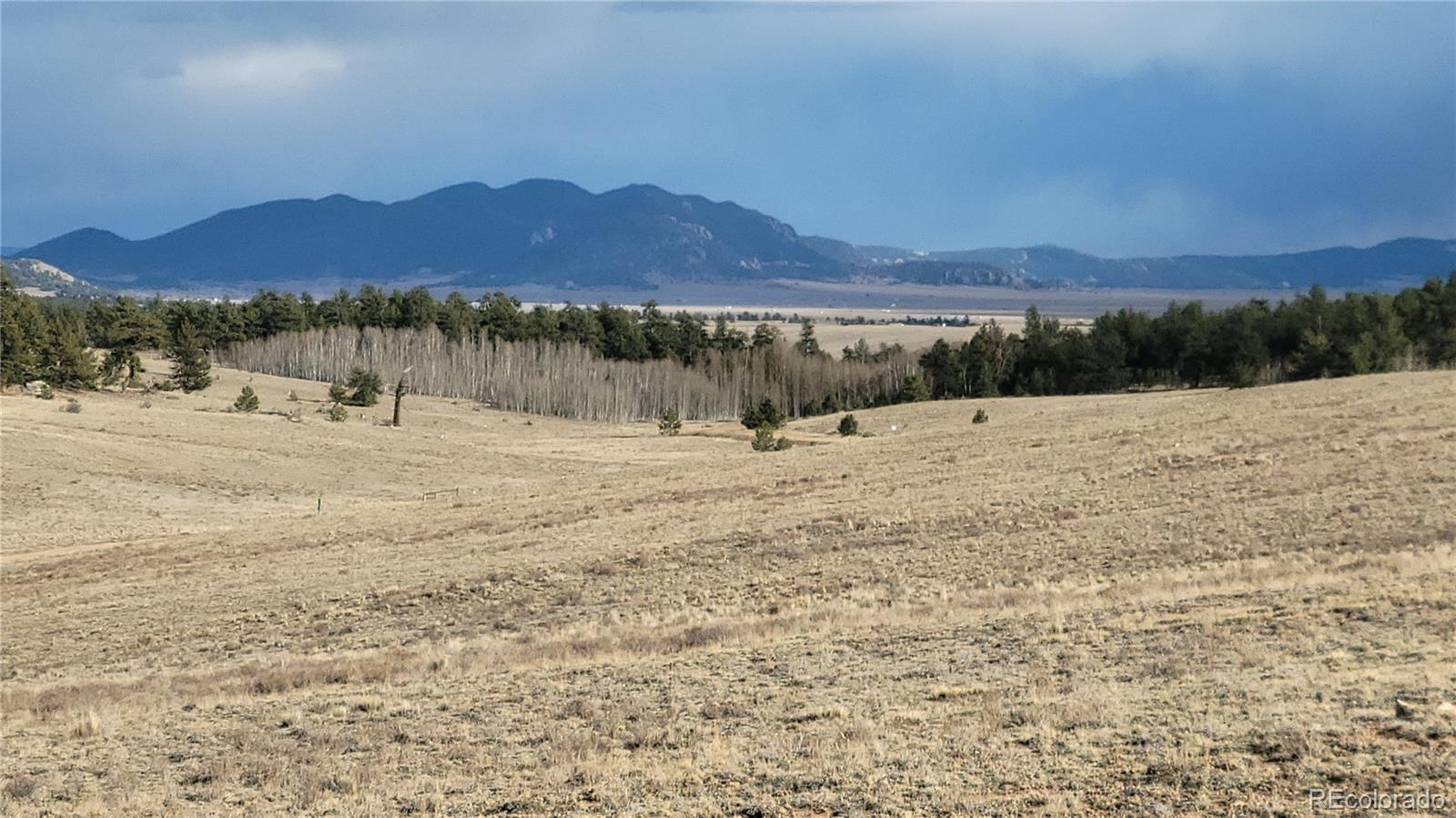 1194 Yellowstone Road Hartsel, CO 80449 - Photo 7 of 16