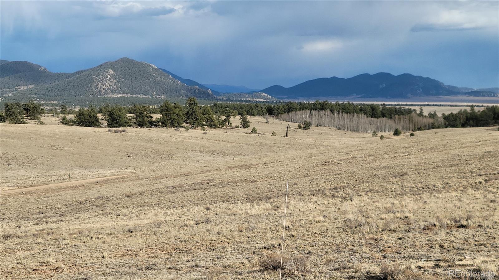 1194 Yellowstone Road Hartsel, CO 80449 - Photo 8 of 16