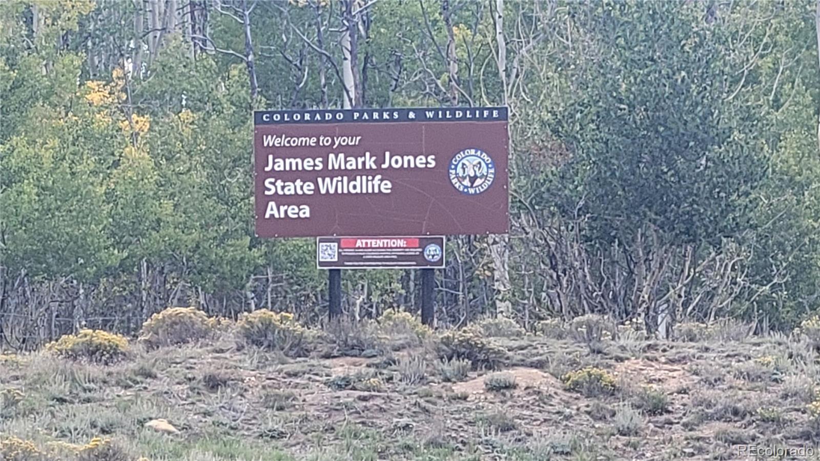 1194 Yellowstone Road Hartsel, CO 80449 - Photo 10 of 16