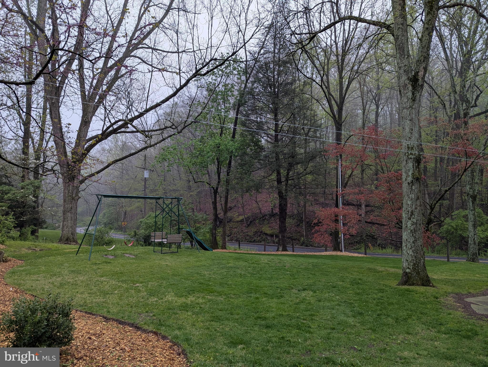 63 Hampshire Road Sinking Spring, PA 19608 - Photo 63 of 86 a view of a backyard with large trees