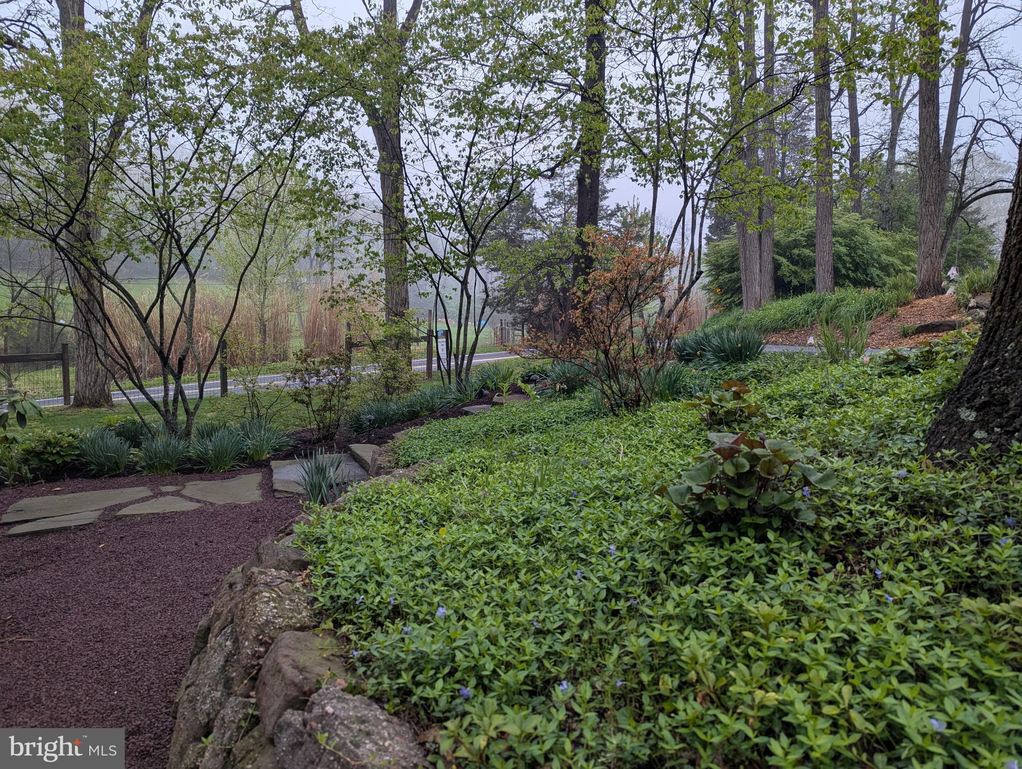 63 Hampshire Road Sinking Spring, PA 19608 - Photo 64 of 86 a view of backyard with green space