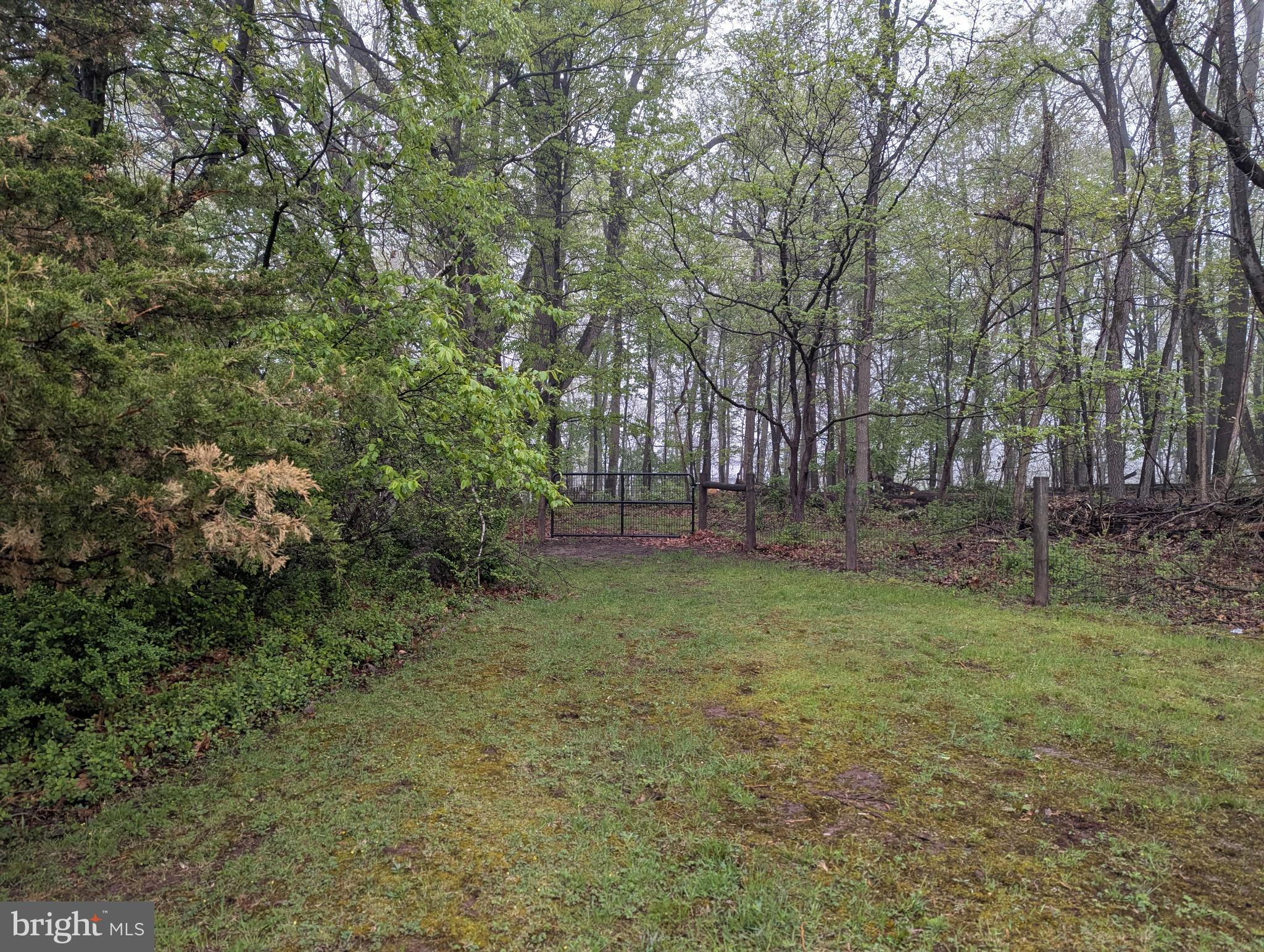 63 Hampshire Road Sinking Spring, PA 19608 - Photo 65 of 86 a view of backyard with green space