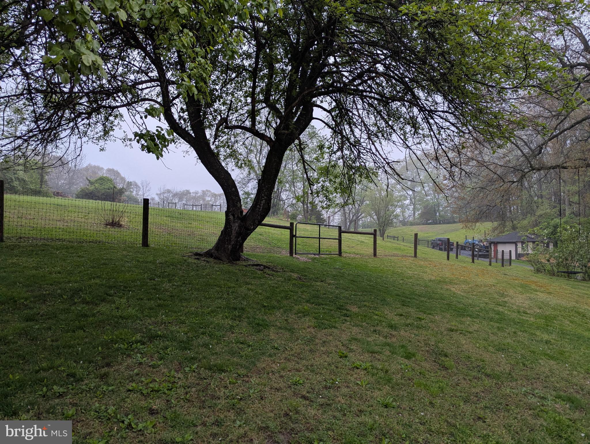 63 Hampshire Road Sinking Spring, PA 19608 - Photo 69 of 86 a view of park with trees