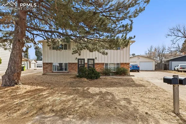 a view of a yard with a tree