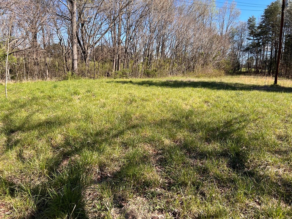 650 Bell Road, Unit 4 Dillwyn, VA 23936 - Photo 9 of 15 Gallery Image 9