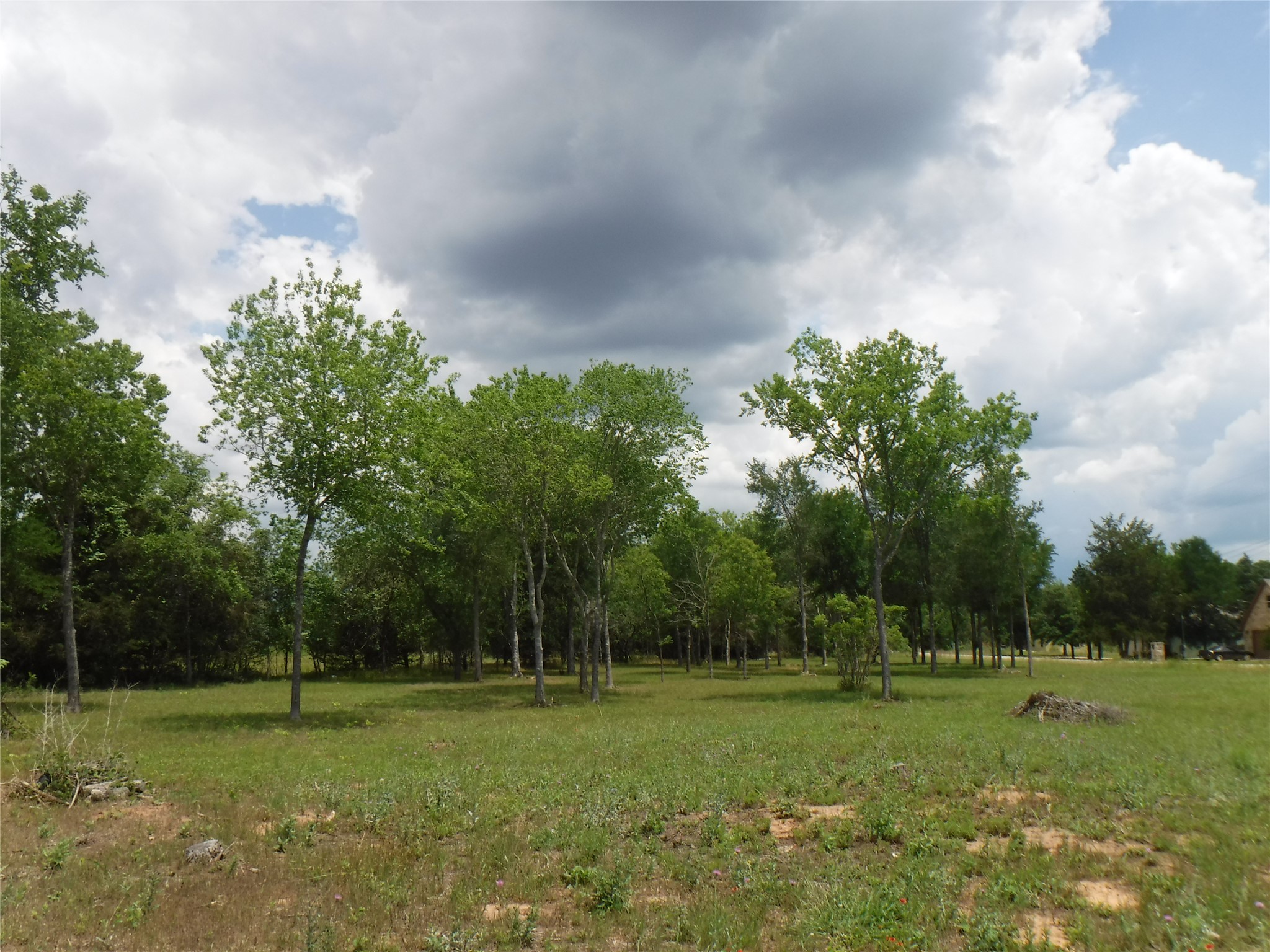104 Riverside Drive Bastrop, TX 78602 - Photo 1 of 28 a grassy field with trees in the background