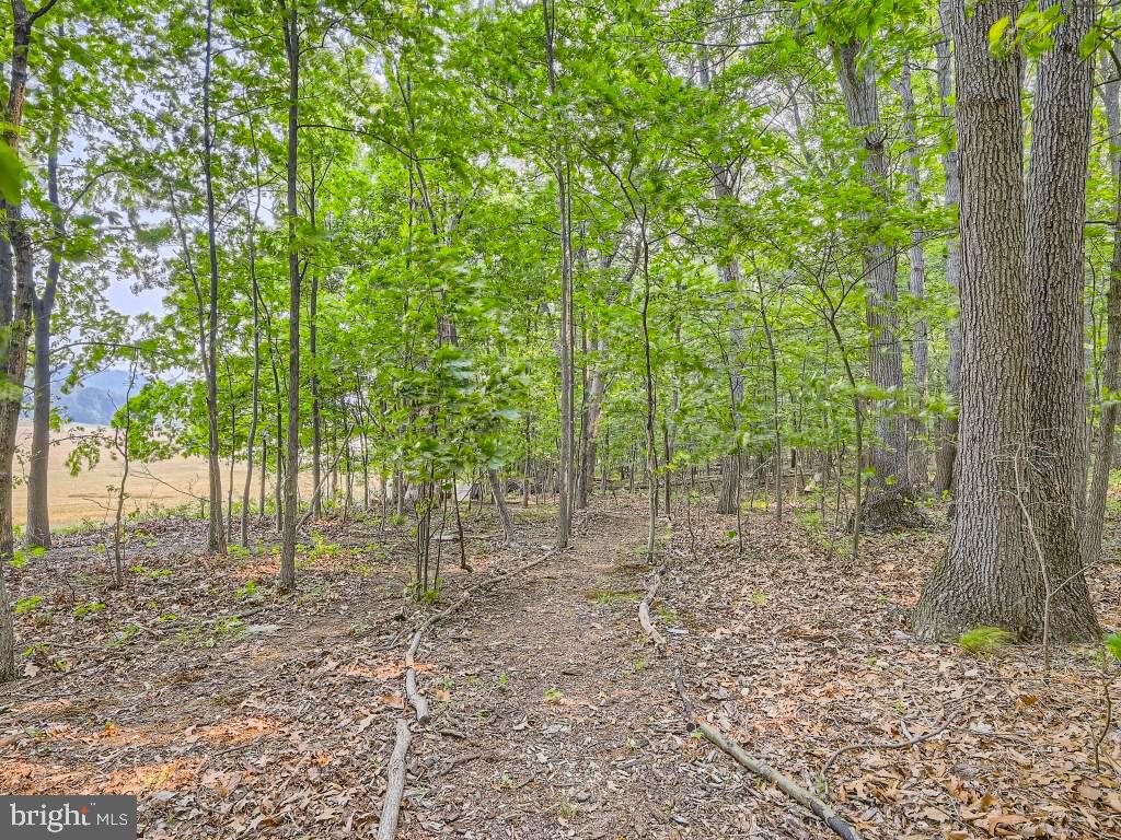 3586 Water Tank Road Manchester, MD 21102 - Photo 33 of 46 Walking paths throughout the property