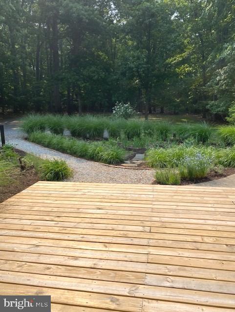 3586 Water Tank Road Manchester, MD 21102 - Photo 36 of 46 Perennial gardens around the home