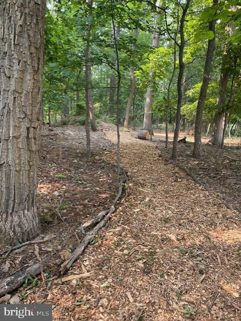 3586 Water Tank Road Manchester, MD 21102 - Photo 42 of 46 Walking path