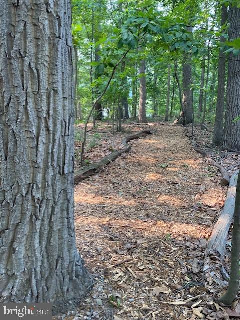 3586 Water Tank Road Manchester, MD 21102 - Photo 43 of 46