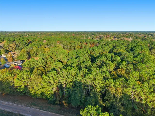 $110,000 | 0 Lee Drive, Cleveland, TX 77328