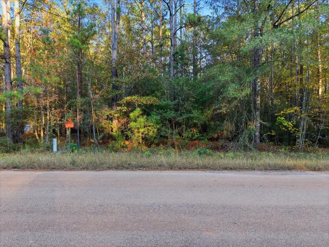 $110,000 | 0 Lee Drive, Cleveland, TX 77328