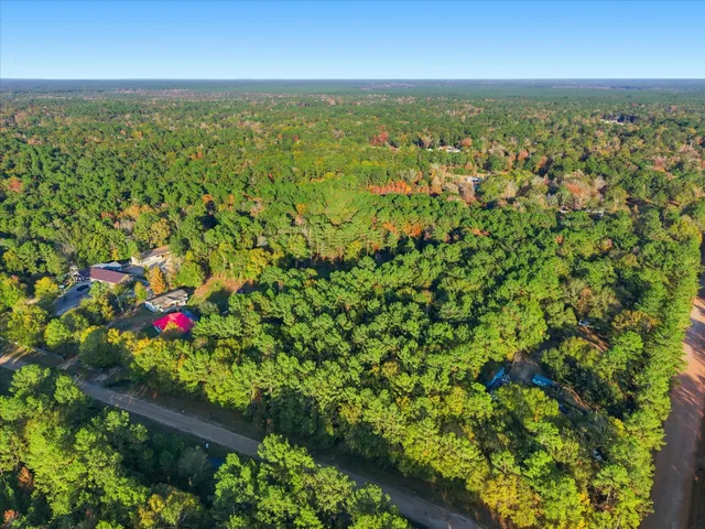 $110,000 | 0 Lee Drive, Cleveland, TX 77328