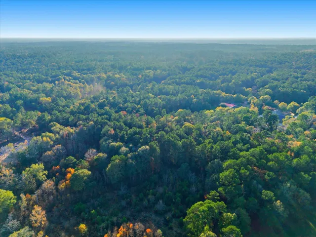 $110,000 | 0 Lee Drive, Cleveland, TX 77328